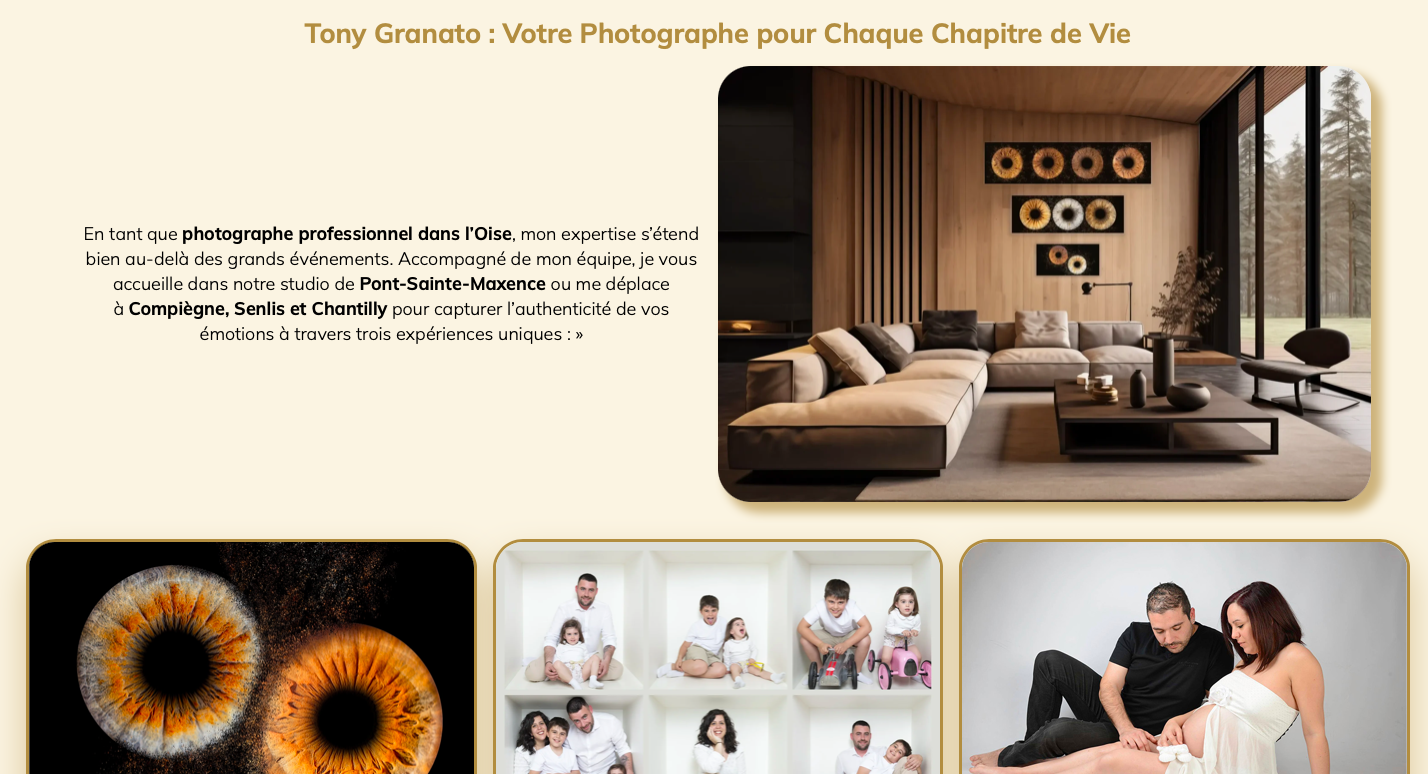 Bouquet final d'un feu d'artifice d'événement privé avec des effets de palmiers lumineux à Soissons, dans l'Aisne.