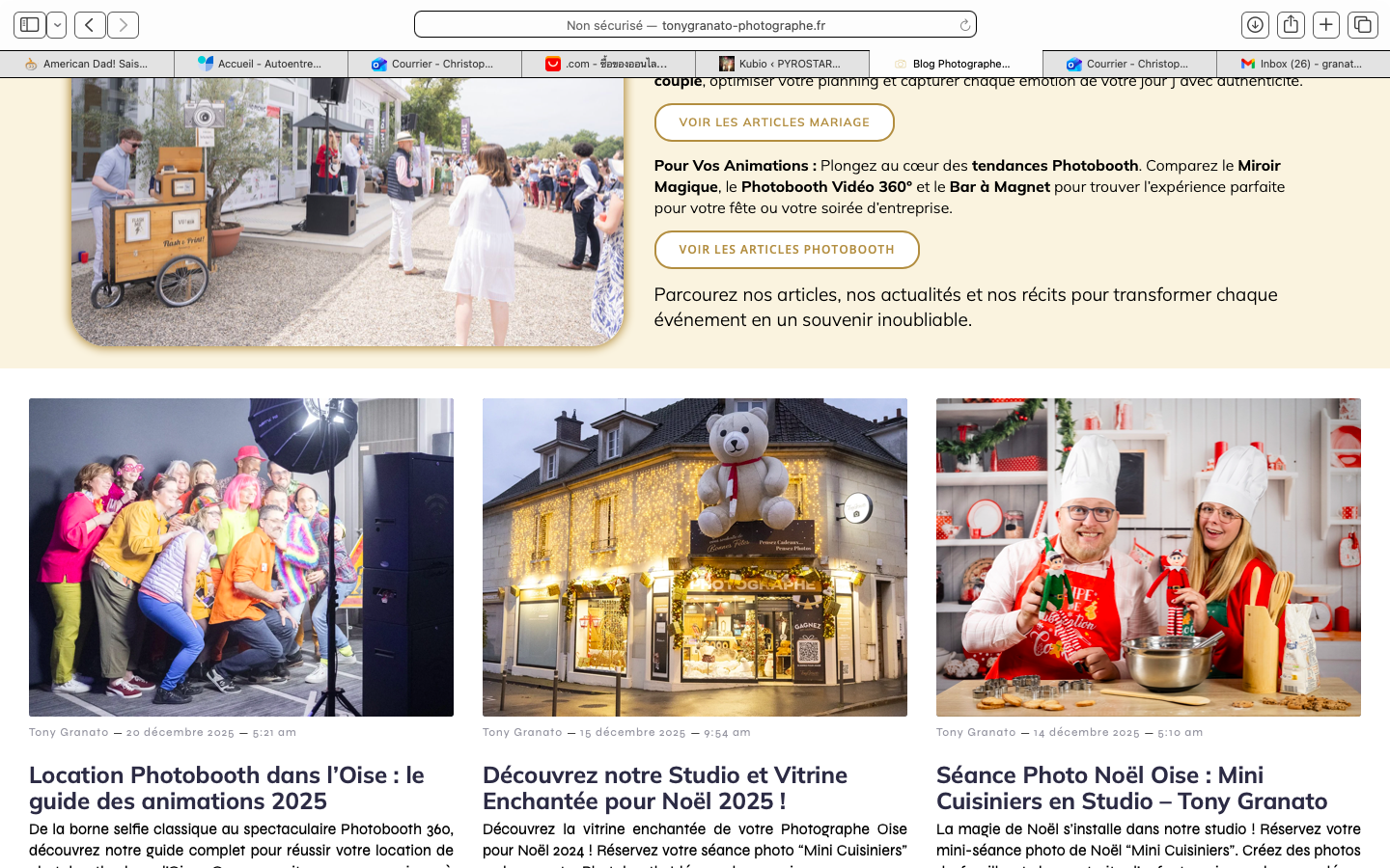 Bouquet final d'un feu d'artifice d'événement privé avec des effets de palmiers lumineux à Soissons, dans l'Aisne.